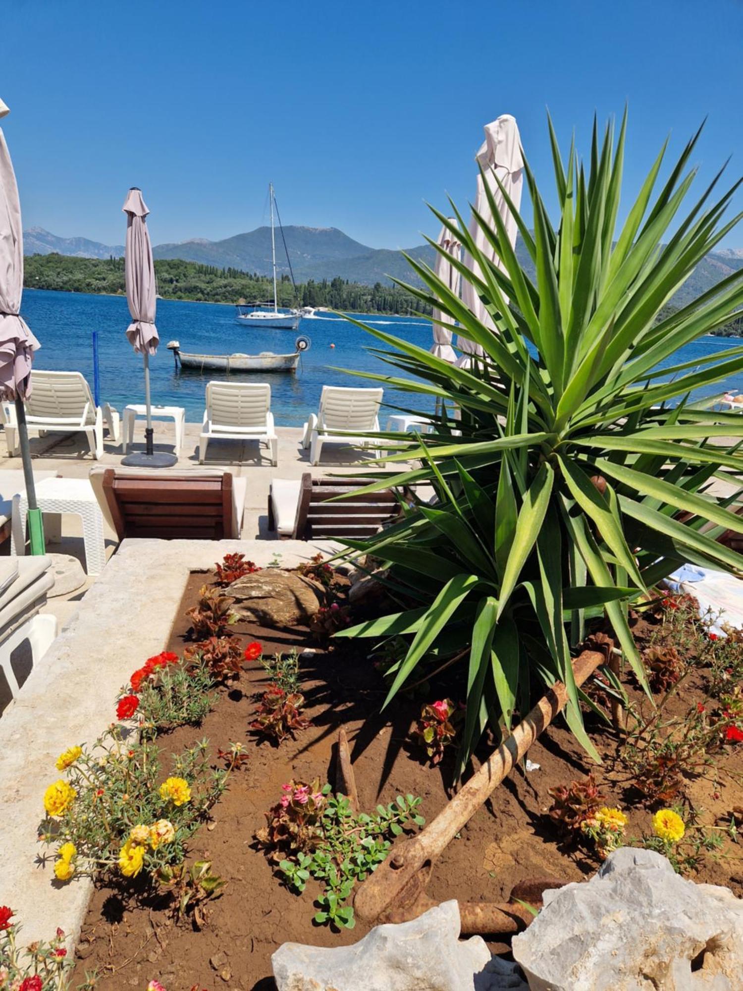 Franovic Apartments Tivat Eksteriør billede